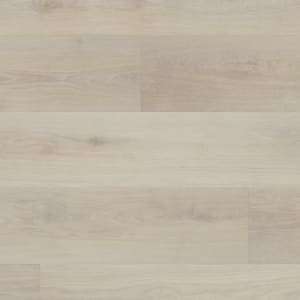 LLP333 - small 1