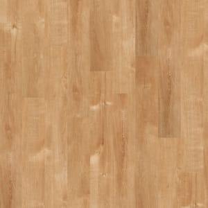 00240_0146V - small 1