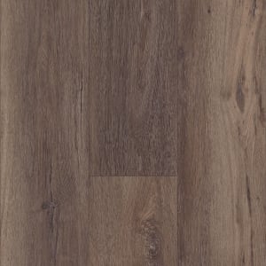 00795_2024V - small 1