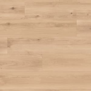 LLP358 - small 1