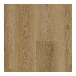 PT016-841 - small 1