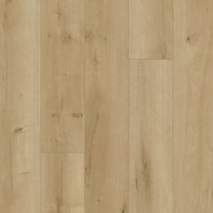 RES21-240 - small 1