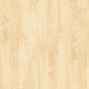 00266_5M300 - small 1