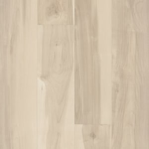 01039_5M308 - small 1