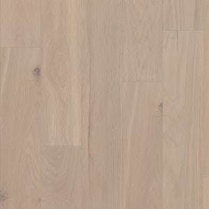 SW772-01153 - small 1