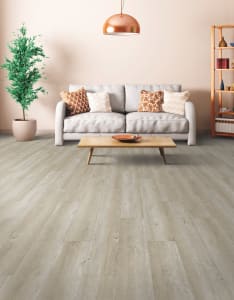 CC002-AP835 - small 