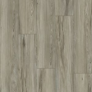 RSP106 - small 1