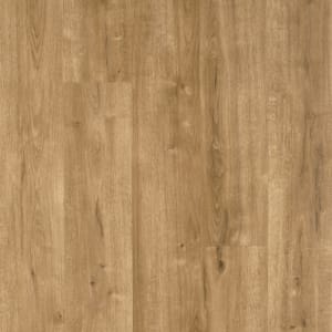 SDP01-850 - small 1