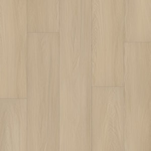 P2239-M1711 - small 1