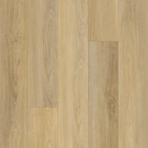 PT001-552 - small 1