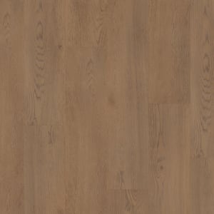 VV800-02036 - small 1
