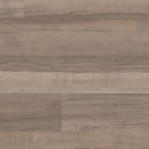 LLP360 - small 1