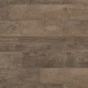 SCB138 - small 1