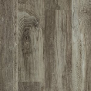 00568_0831V - small 1