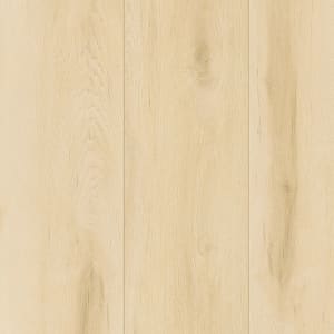 SDP06-221 - small 1