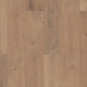SL449_07728 - small 1