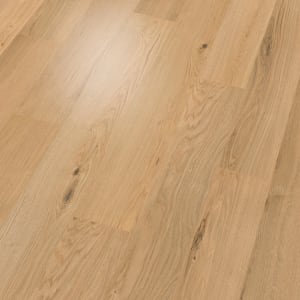 SDS13-465 - small 2