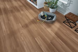 SDE03-817 - small 
