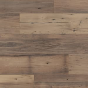 EW22 - small 1