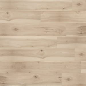 PSR09-01 - small 1