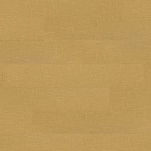 SP726 - small 1