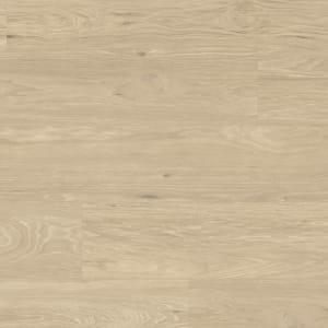 RKP8249 - small 1