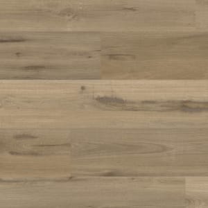 WP425 - small 1