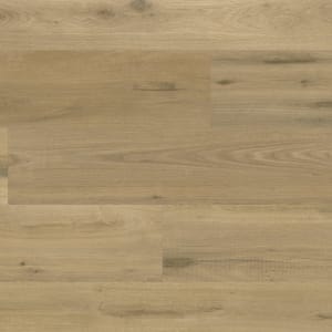WP426 - small 1