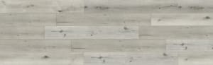 RELM8104 - small 1