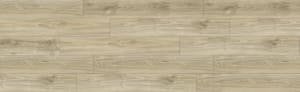 RELC8202 - small 1