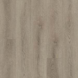 05218_0278V - small 1