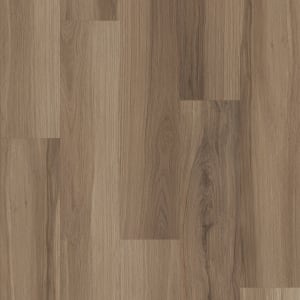 00154_0736V - small 1