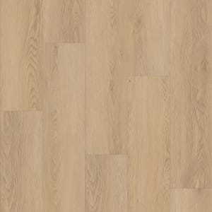 02013_0736V - small 1