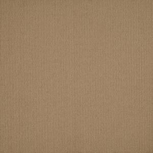 54462_62103 - small 1