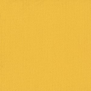 54462_62201 - small 1