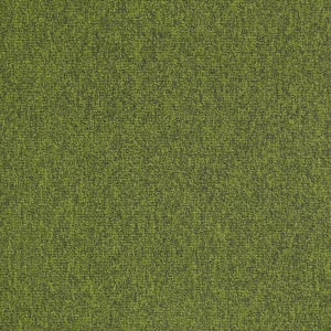 54594_00310 - small 1