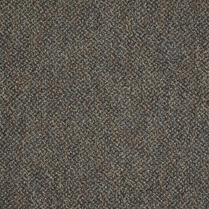 54796_96505 - small 1