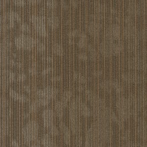 54895_00700 - small 1
