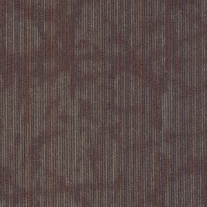 54895_00906 - small 1