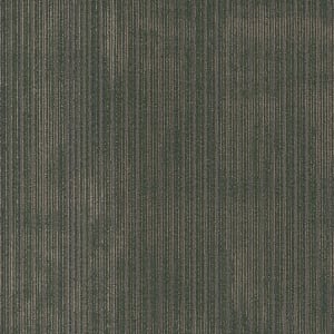 54897_00300 - small 1