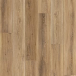 CR501-02079 - small 1