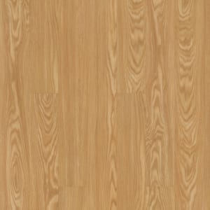 VV023-00207 - small 1