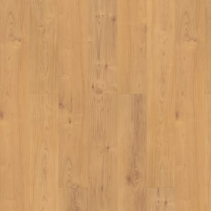 VV023-00505 - small 1