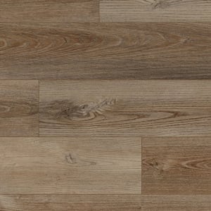 VV492-02008 - small 1