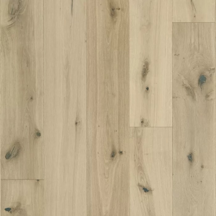 SANC10SHL1 - swatch