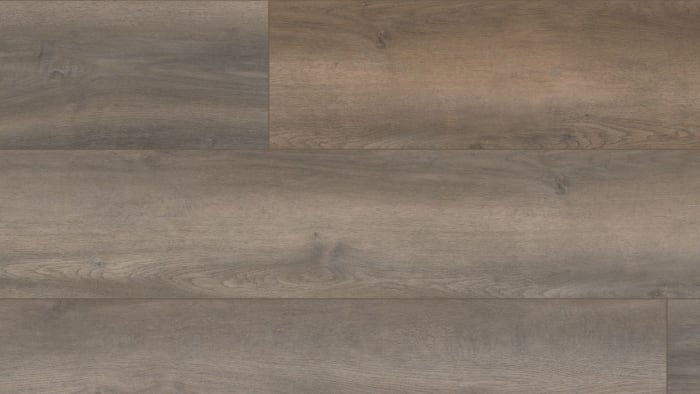 VV457-02901 - Grandure Oak