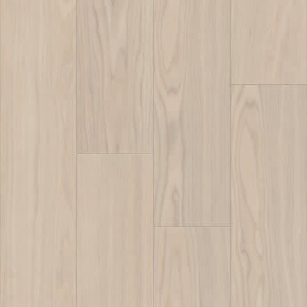 P1057-D4711 - TRUCOR - Bravo - Adalbero Ash