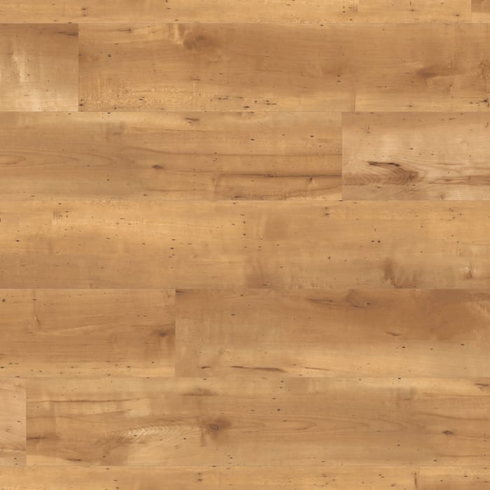 SCB71 - swatch