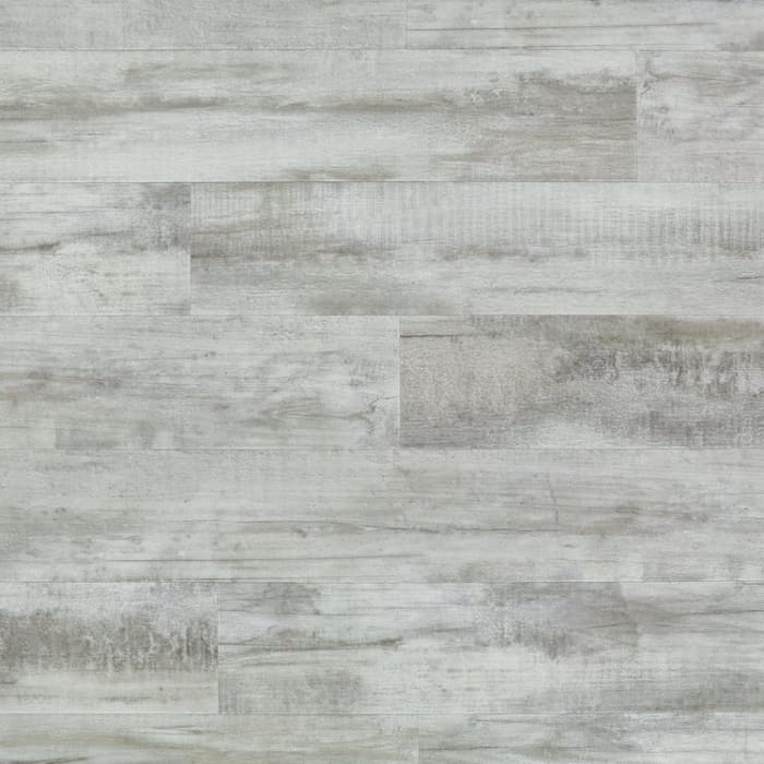 RGR681 - Cape May Shell
