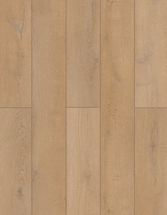 LI-ID10 - Lions Floor - Indoor Delight SPC - Farmstead